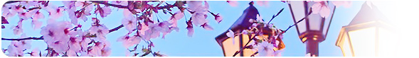 4月 ─ 桜とCO2削減のために消灯されている街灯 兵庫県芦屋市