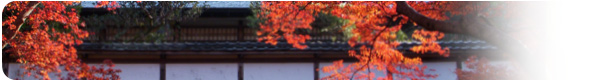 奈良 寺院の紅葉